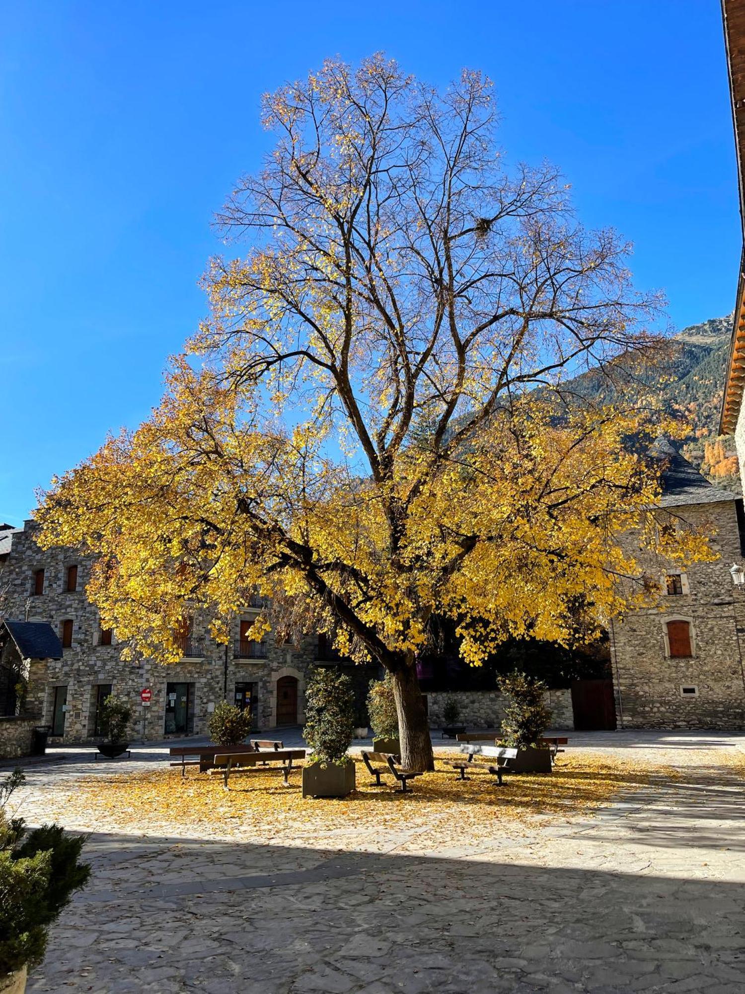 Apartamento Familiar En El Centro De Benasque Con Terraza Екстер'єр фото